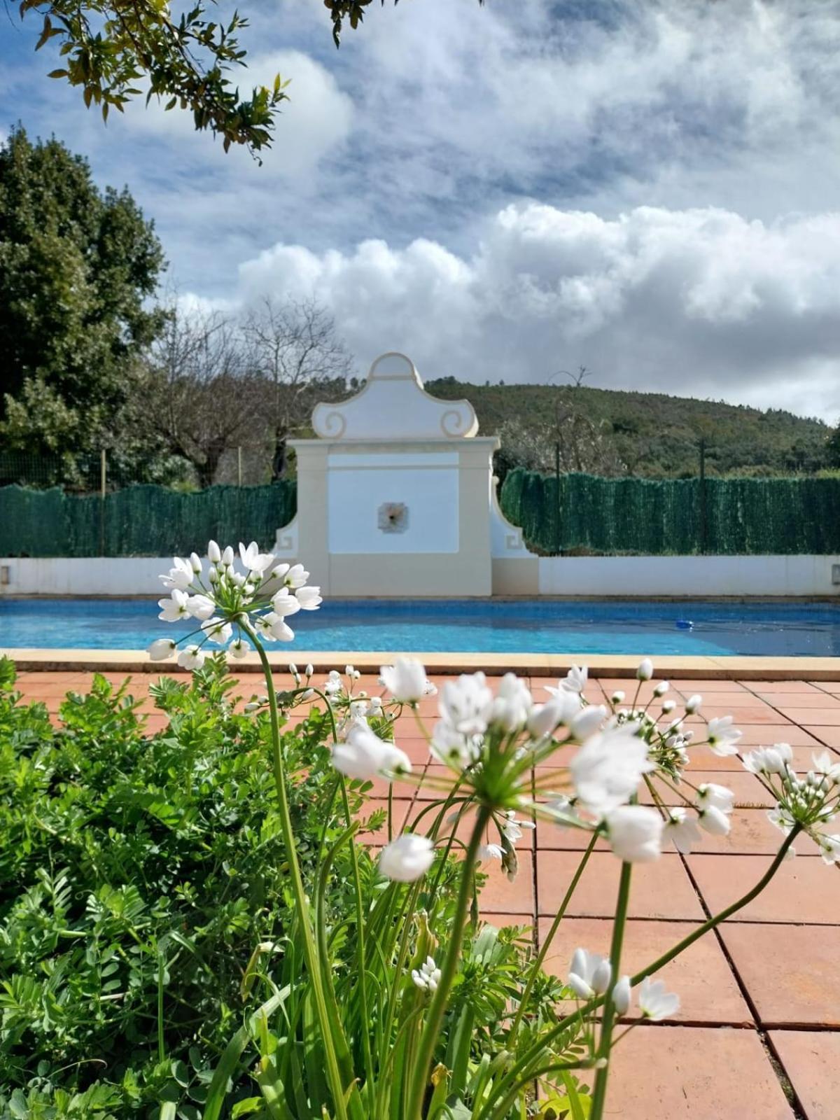 Casa Do Ginjal By Naturalegre Marvão Exterior photo